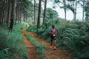 BIB: 
                            <button type="button" onclick="openModal(25687842)" class="btn btn-primary btn-sm float-right btn-popup" data-toggle="modal" data-target=".modal-high-quality">
                        <i class="fas fa-shopping-cart"></i> Add to Cart
                    </button>
                                            <button type="button" onclick="isThisMe(25687842, true)" class="btn btn-success btn-sm float-right btn-popup btn-isme hidden" data-toggle="tooltip" data-placement="bottom" title="นี่คือรูปของคุณใช่ไหม คลิกที่นี่เพื่อเอาเข้าอัลบั้ม">
                        <i class="fas fa-plus"></i> Add to album
                    </button>
                    <button type="button" onclick="isThisMe(25687842, false)" class="btn btn-warning btn-sm float-right btn-popup btn-isnotme hidden">
                        <i class="fas fa-ban"></i> Remove from album
                    </button>